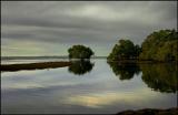 Nudgee-Beach