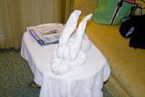 Bunny Towel Art.jpg
