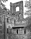 Kirkstall Abbey - 052