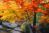 Autumn Vermont V