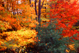 White Mountains New Hampshire