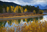 Oxbow Bend Reflections