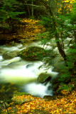 Creekside Imagery