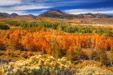 Autumn Eastern Sierras