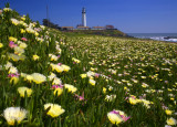 Pigeon Point