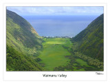 waimanu valley (looking out)