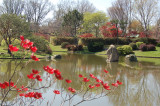 Missouri Botanical Gardens