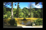 2009 - Furnas - Casa Terra Nostra