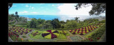 2009 - Madeira Botanical Gardens