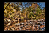 2010 - Wilket Creek Park