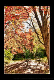 2010 - Sunnybrook Park