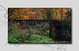 2012 - Autumn Colours - Edwards Garden - Toronto, Ontario - Canada
