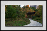 2012 - Autumn Colours - Wynford/Concorde Place - Toronto, Ontario - Canada