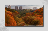 2012 - Autumn Colours - Glen Road Bridge - Toronto, Ontario - Canada