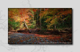 2012 - Autumn Colours - Wilket Creek Park - Toronto, Ontario - Canada