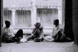 Siam Reap - monks