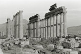 Palmira