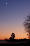 IMG_4886_1.jpg