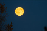 Lune dautomne