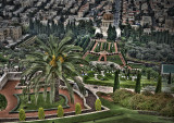 Bahai Gardens