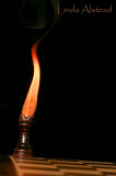 21st january 2009 - burning down the house (well nearly)