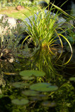 27th June 2009 - teeming with life