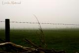 16th May 2006 - new horizons?