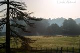 8th September 2006 - early to late