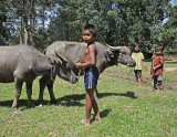 children w buffalo.jpg