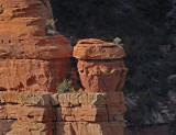 Cow Pies and Mitten Ridge Area