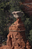 Cow Pies and Mitten Ridge Area