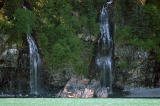 Kenai Fjords National Park Boat Tour