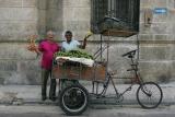 Onions and Bananas