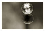 Bubbles-14M
