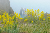 Crimea. Karadag reserve