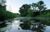 Moscow region. Osetr river