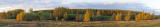 Moscow region, Fall colors