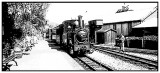 Little Train, Snowdon Wales