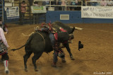 Biting The Dust