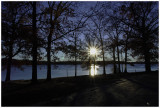 Through The Trees December 5