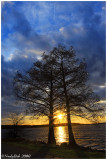 SunSet February 27