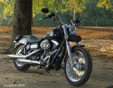 Harley Davidson August 14