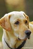 Max November 4