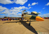 L-39 Albatros November 23