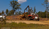 Loading Logs