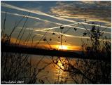 IMG_0436a.jpg