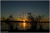IMG_0623a.jpg