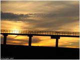 IMG_0712a.jpg