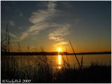 IMG_0846a.jpg