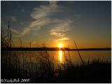 IMG_0845a.jpg